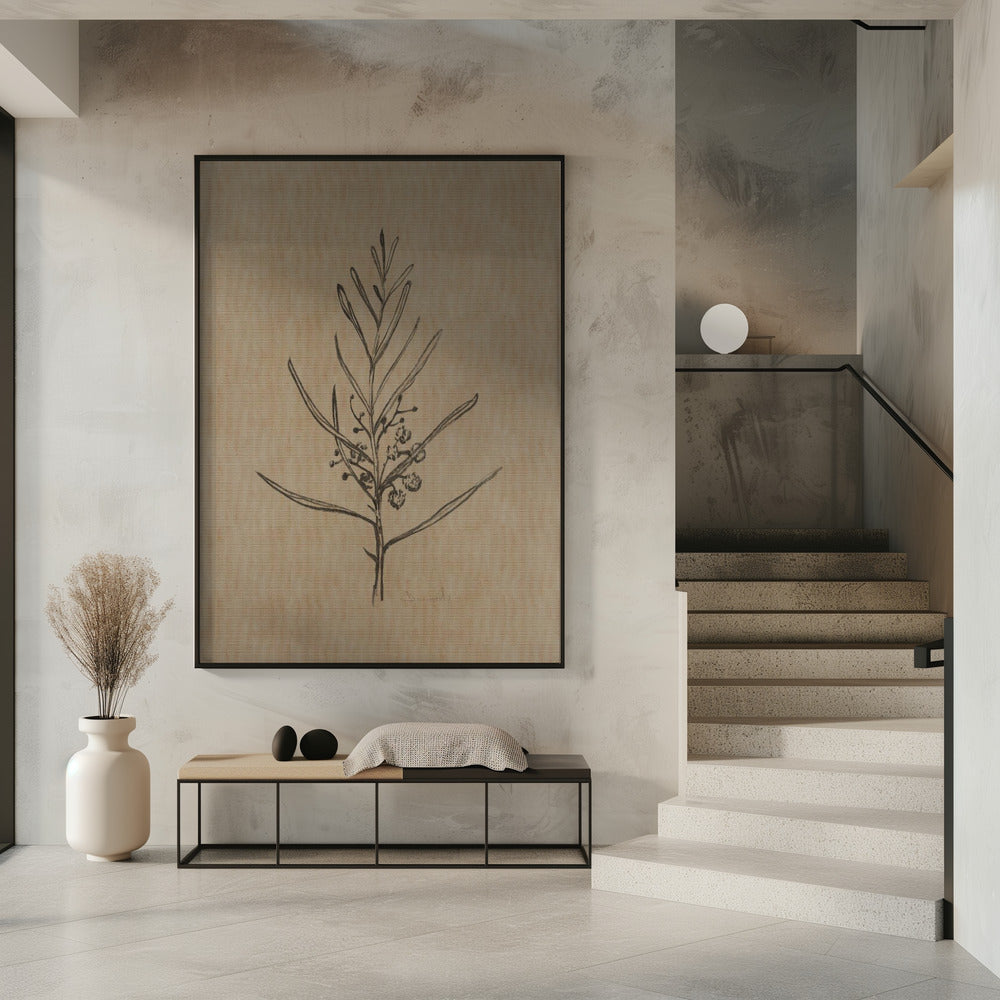 Blackwood Sapling | Poster