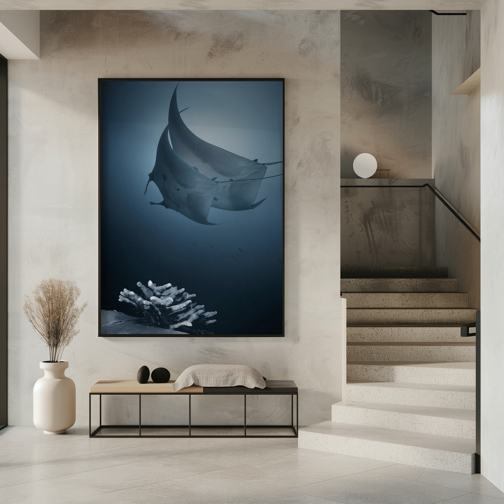 Sonate | Poster