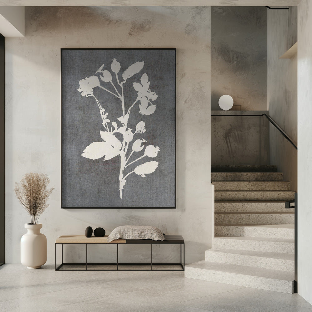 Botanische Illustration 6 | Poster