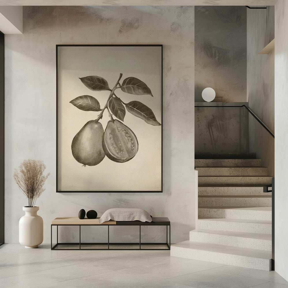 Vintage-Obst | Poster