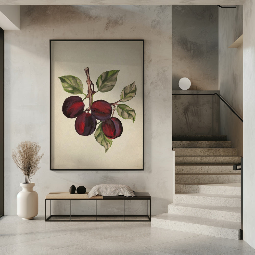 Vintage-Obstsammlung | Poster
