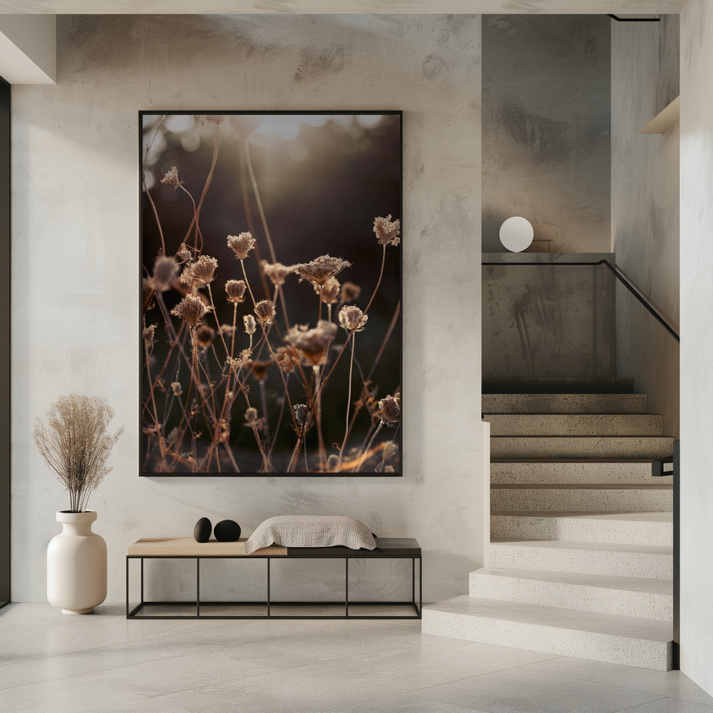 Warmes Winterlicht 2 | Poster