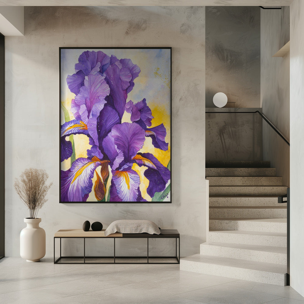 Iris Aquarell | Poster