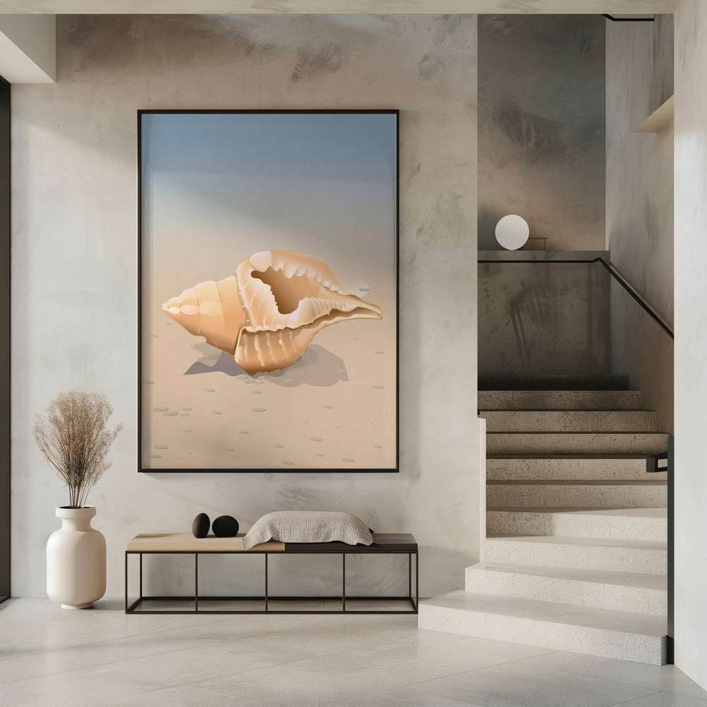 Muschel am Meer | Poster