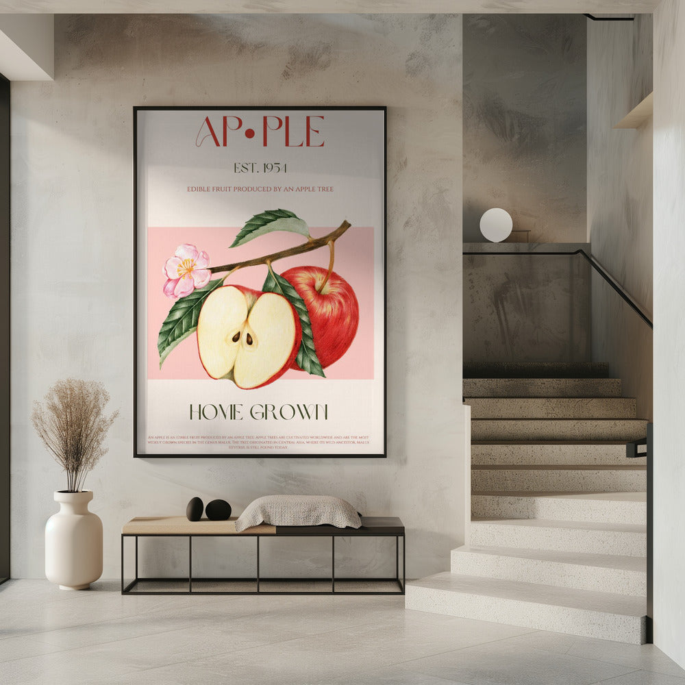 Geerntete Äpfel | Poster