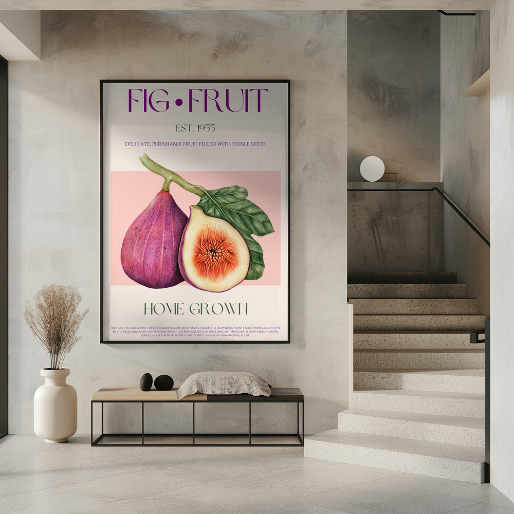 Vintage Feigengenuss | Poster