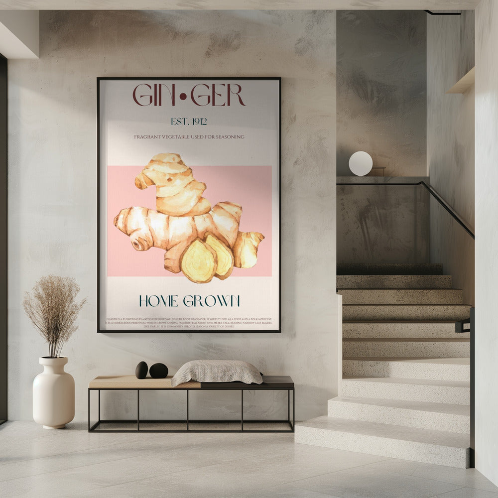 Aquarellillustration von Ingwer | Poster