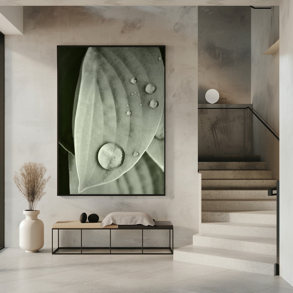 Tau auf Blatt Eleganz | Poster