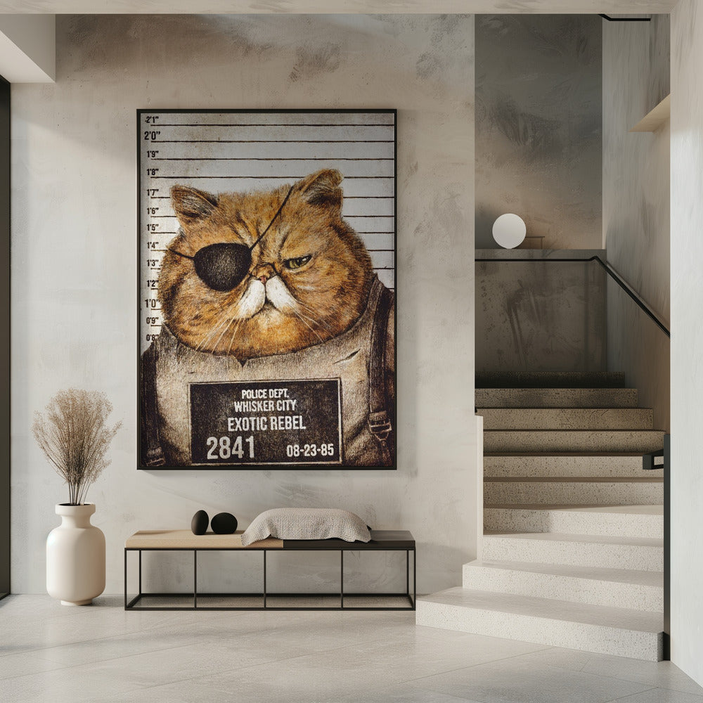 Lustige Katze | Poster