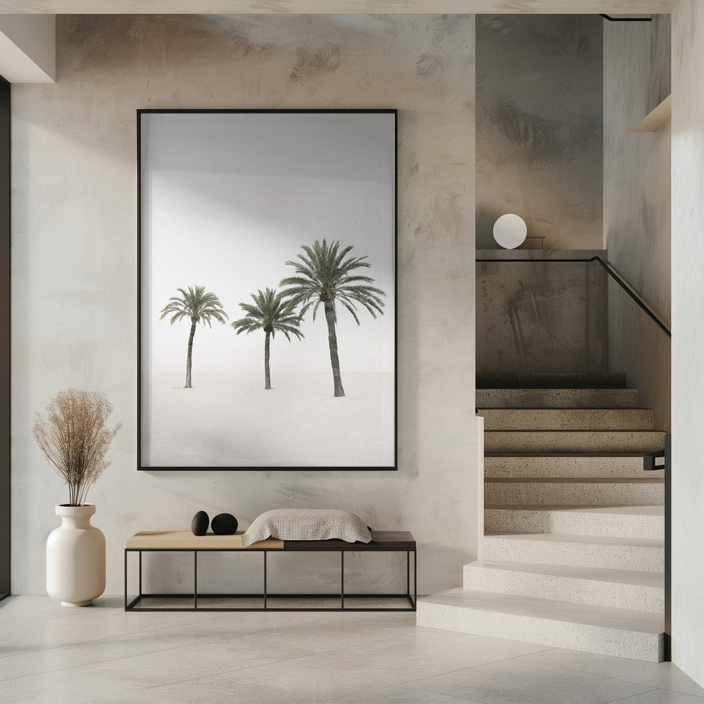 Palms | Poster