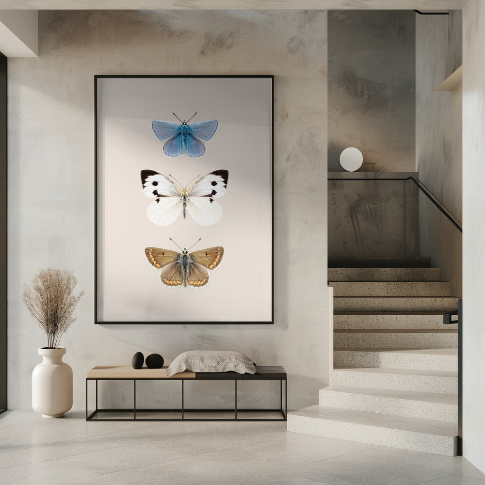 Englische Schmetterlinge 2 | Poster