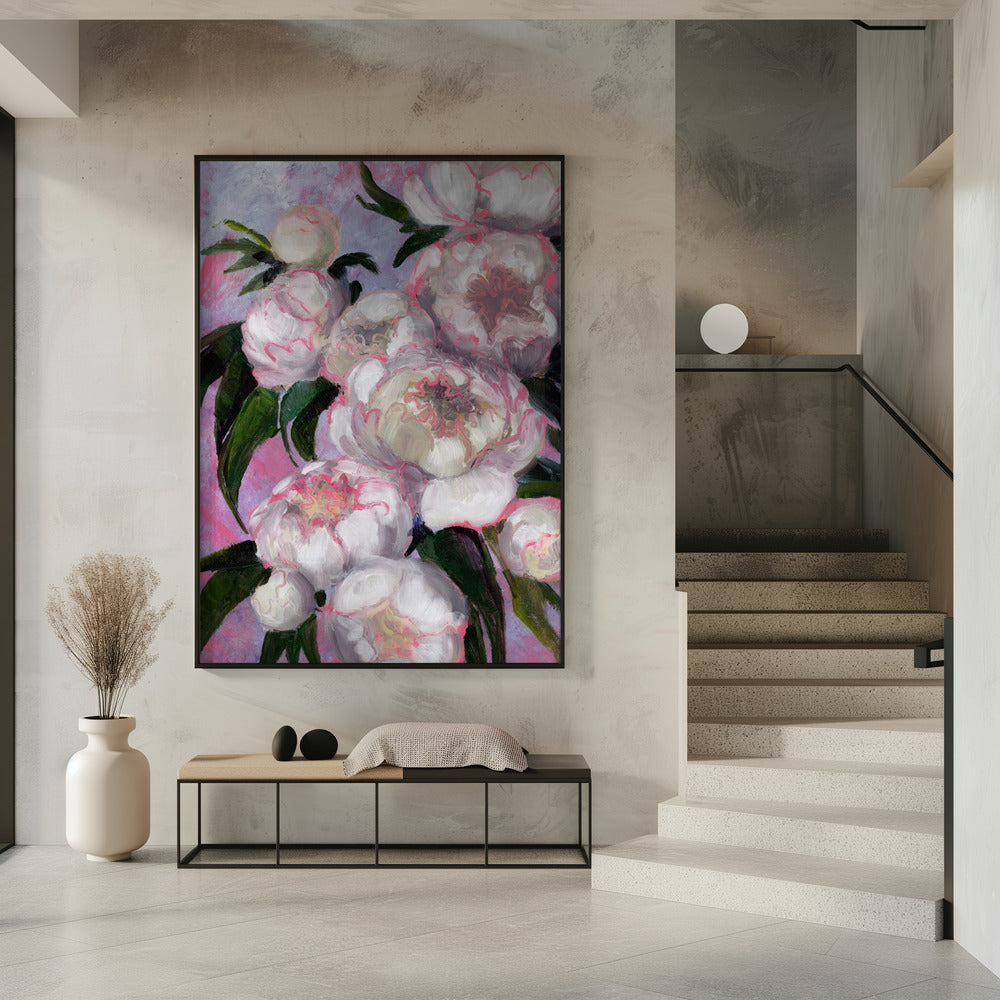 Weiße Pfingstrosen mit rosa Highlights | Poster