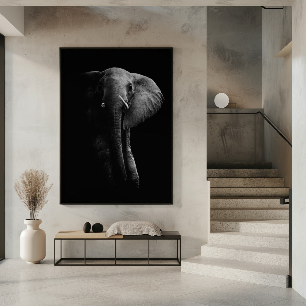Elefant! | Poster