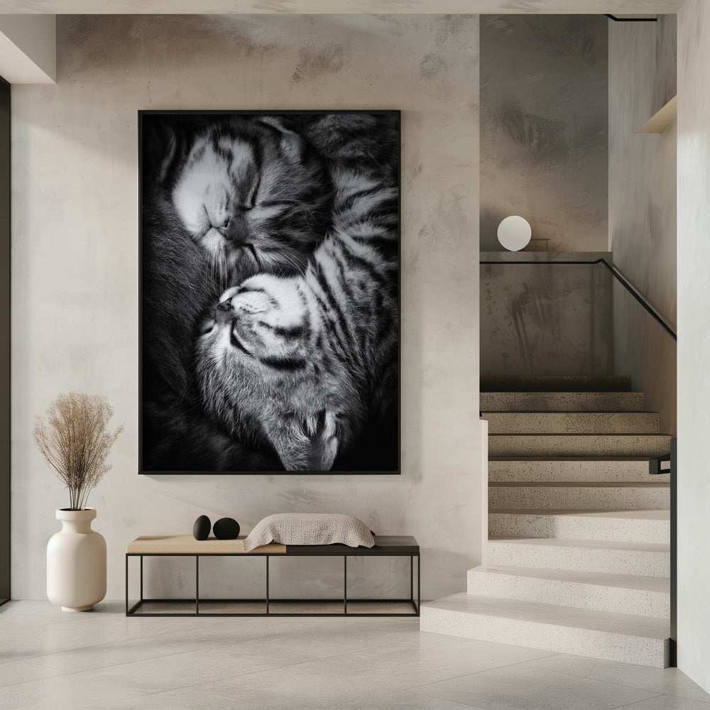 Yin und Yang | Poster