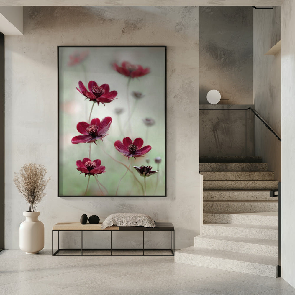 Cosmos sway | Poster
