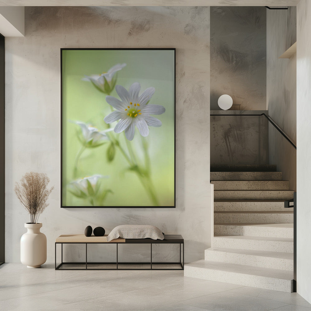 Spring sparkle | Poster