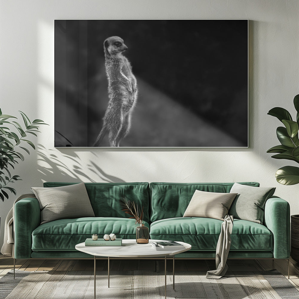 Das Erdmännchen | Leinwand