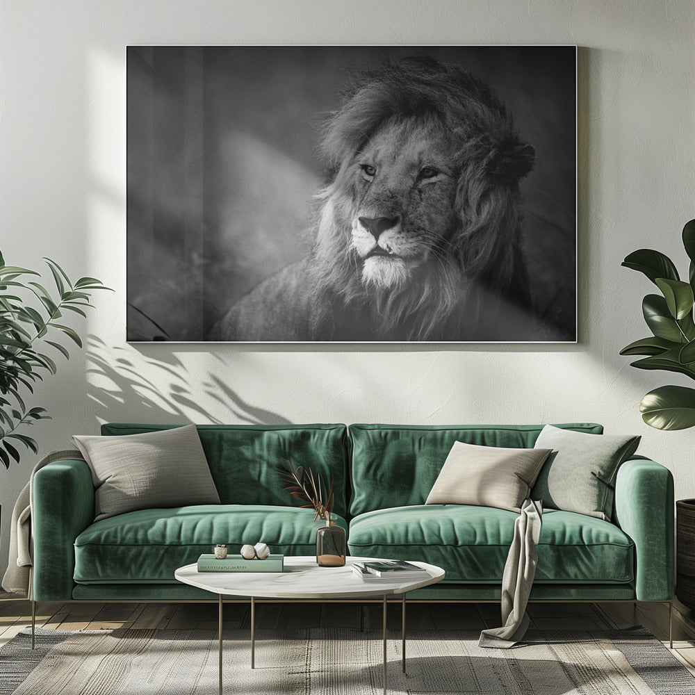 Regal | Leinwand