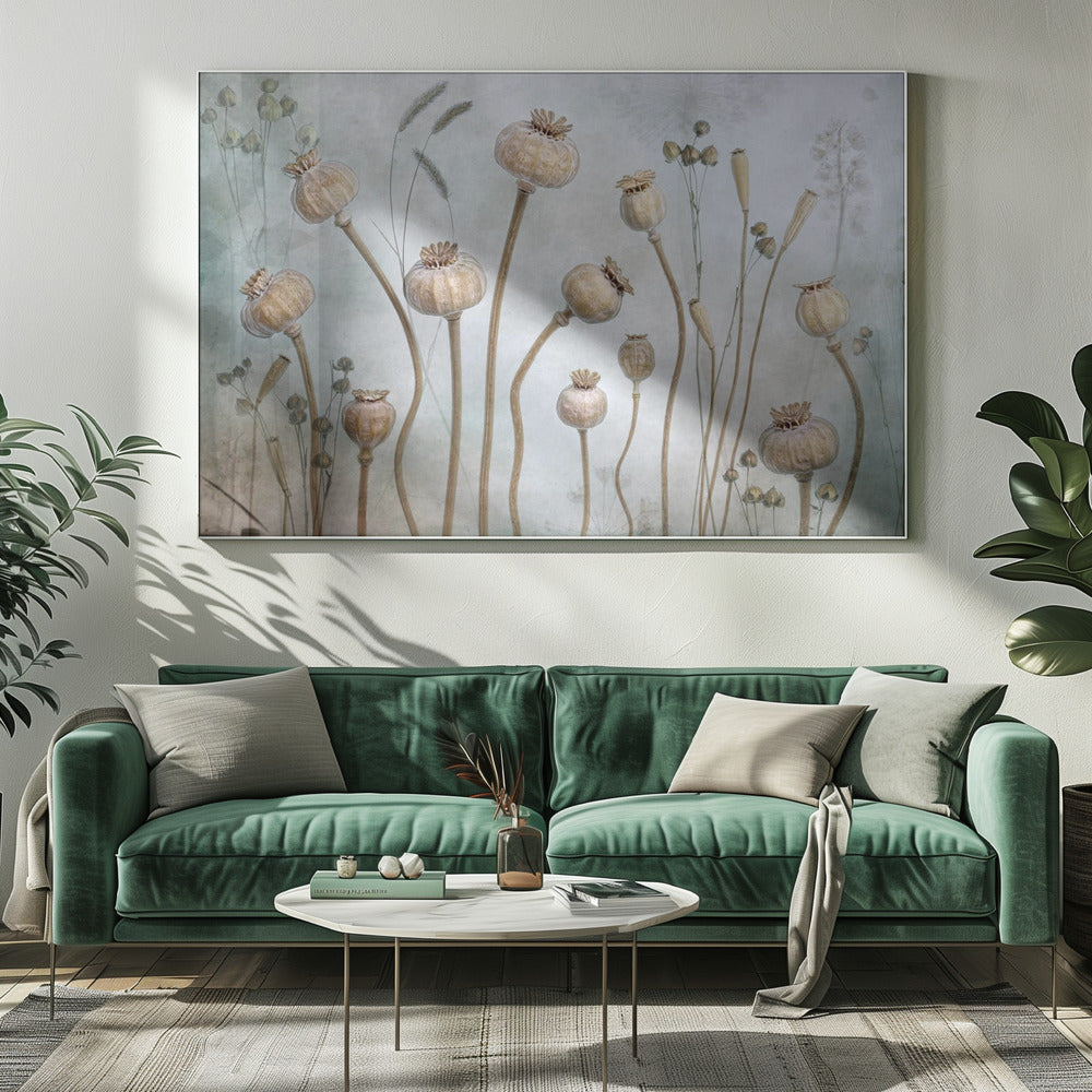 Papaver | Leinwand