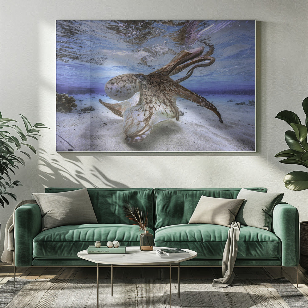 Tanzender Oktopus | Leinwand