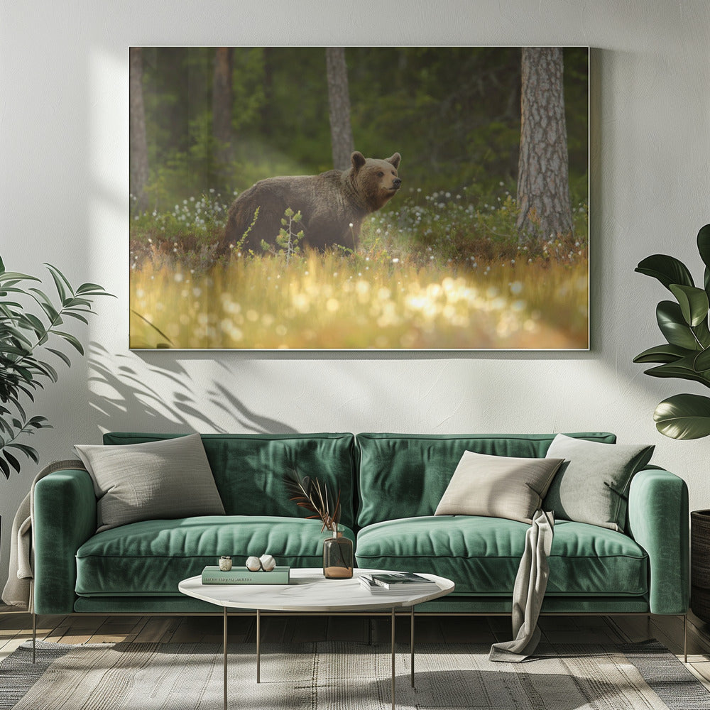 Brown Bear | Canvas