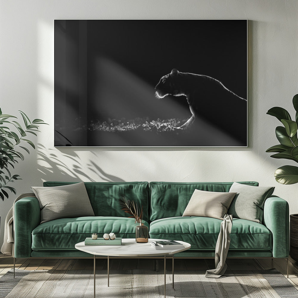 Ohne Titel | Leinwand