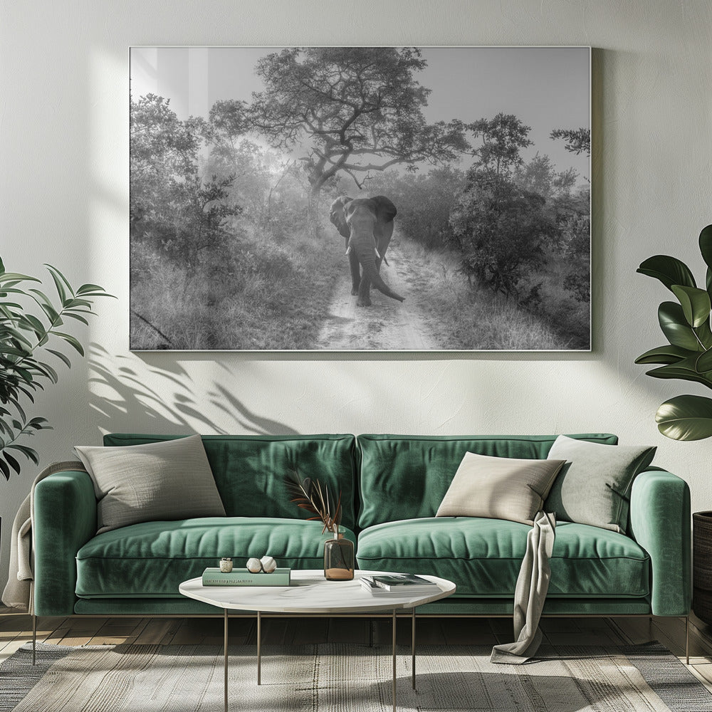 GEHENDER RIESE | Leinwand