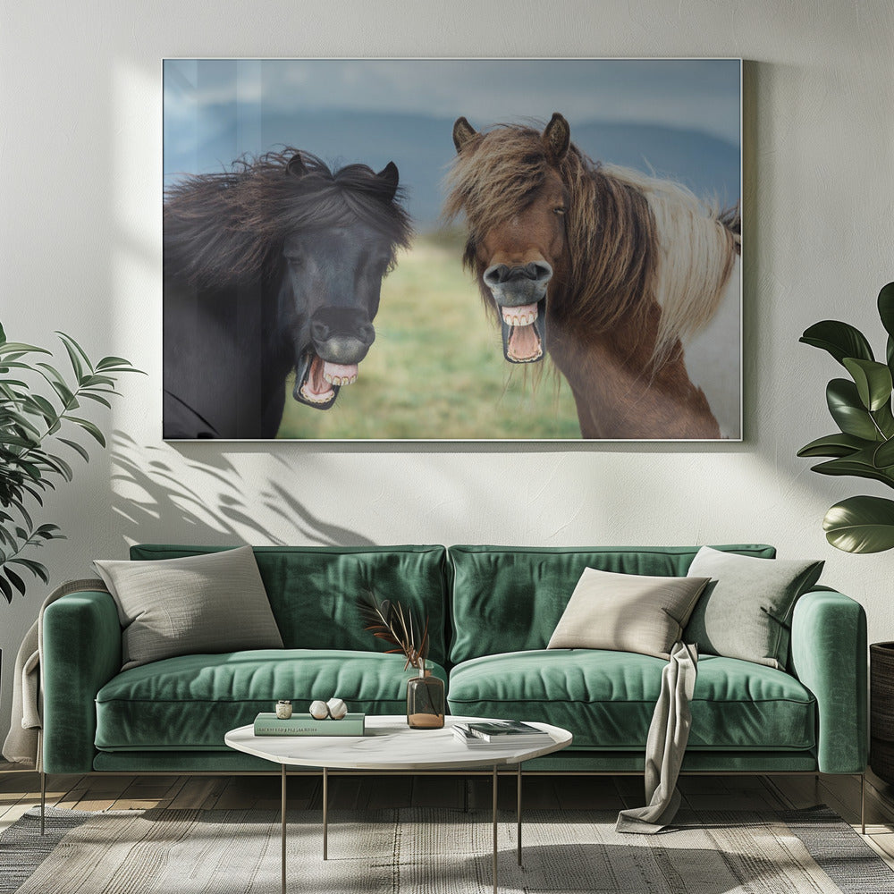 WILD SMILE | Canvas