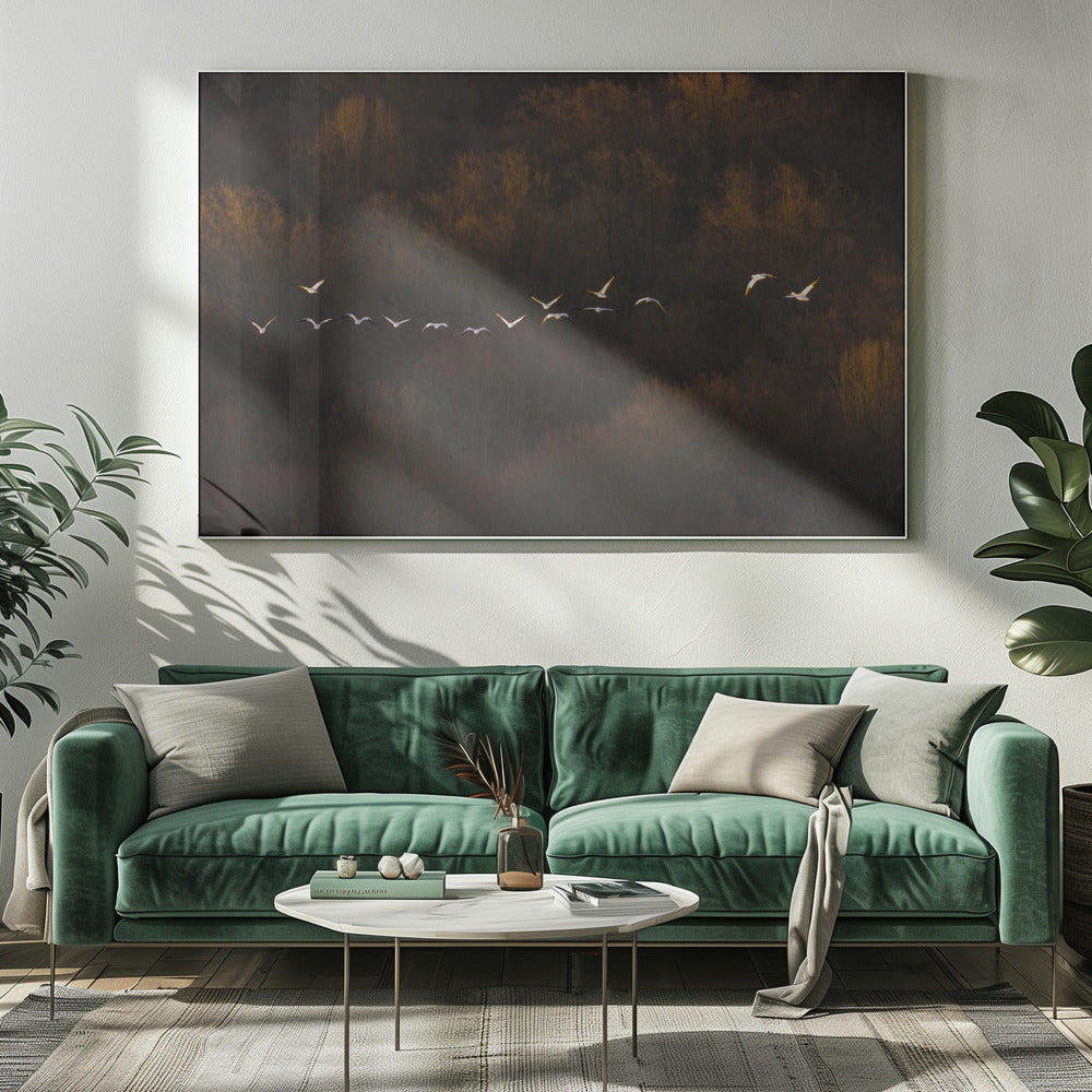 Morning Mood | Canvas