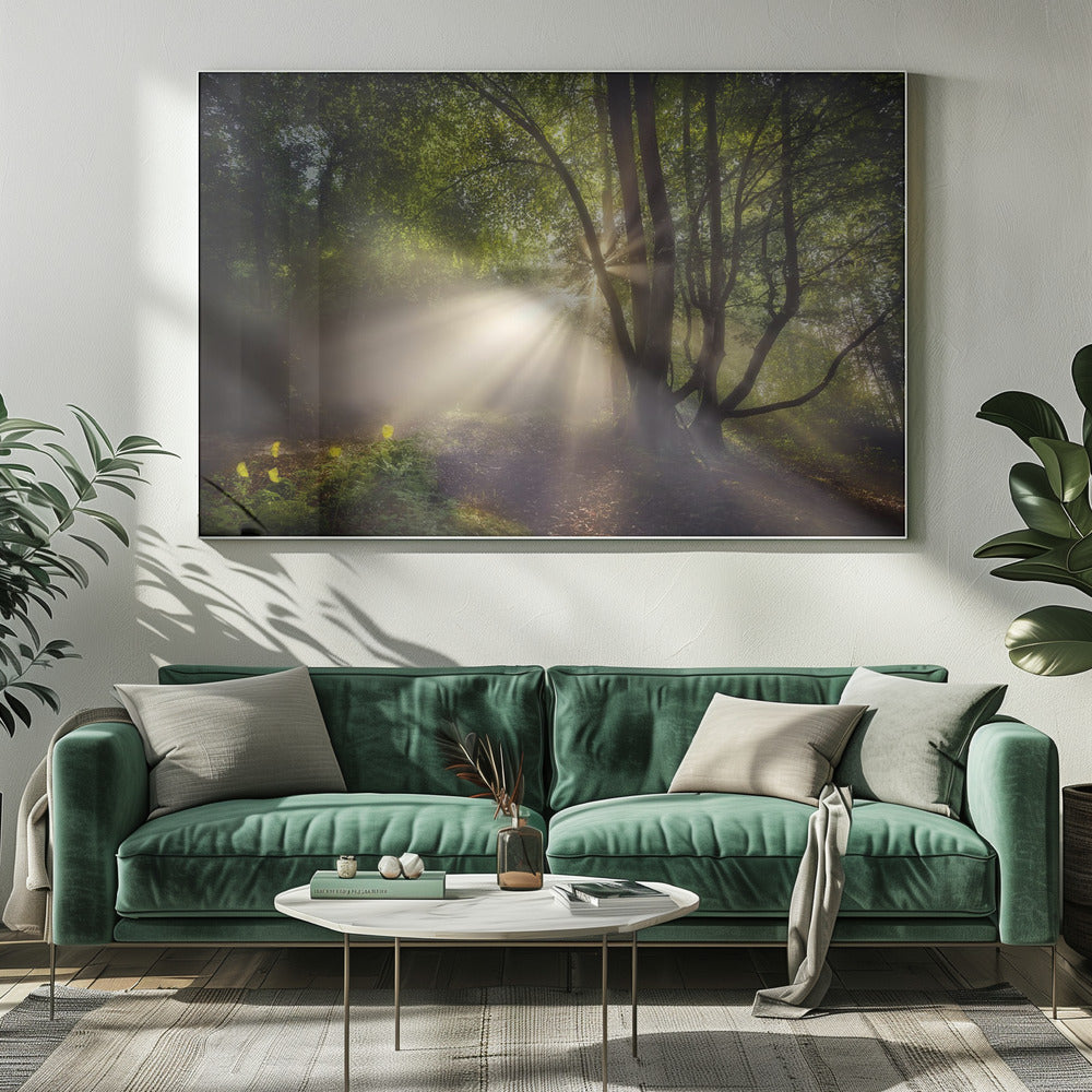 Das Morgenlicht | Leinwand