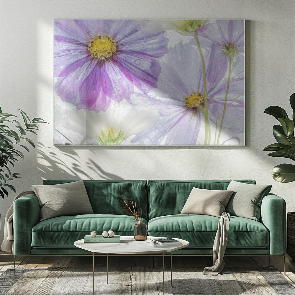 Cosmos cool | Leinwand