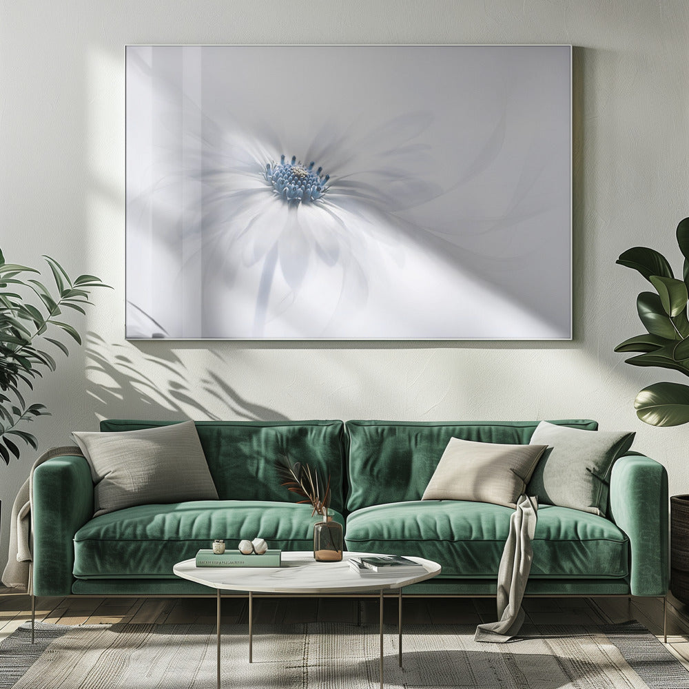 Serenity | Canvas