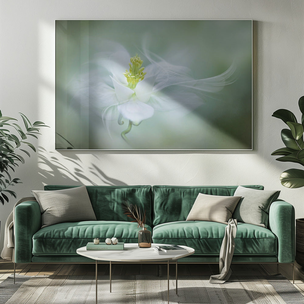 Mystical | Canvas