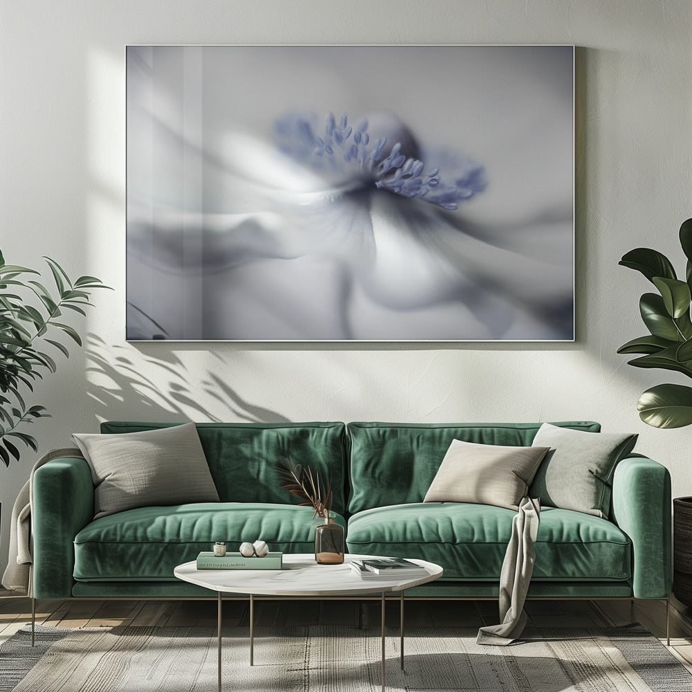 Anemonengeist | Leinwand
