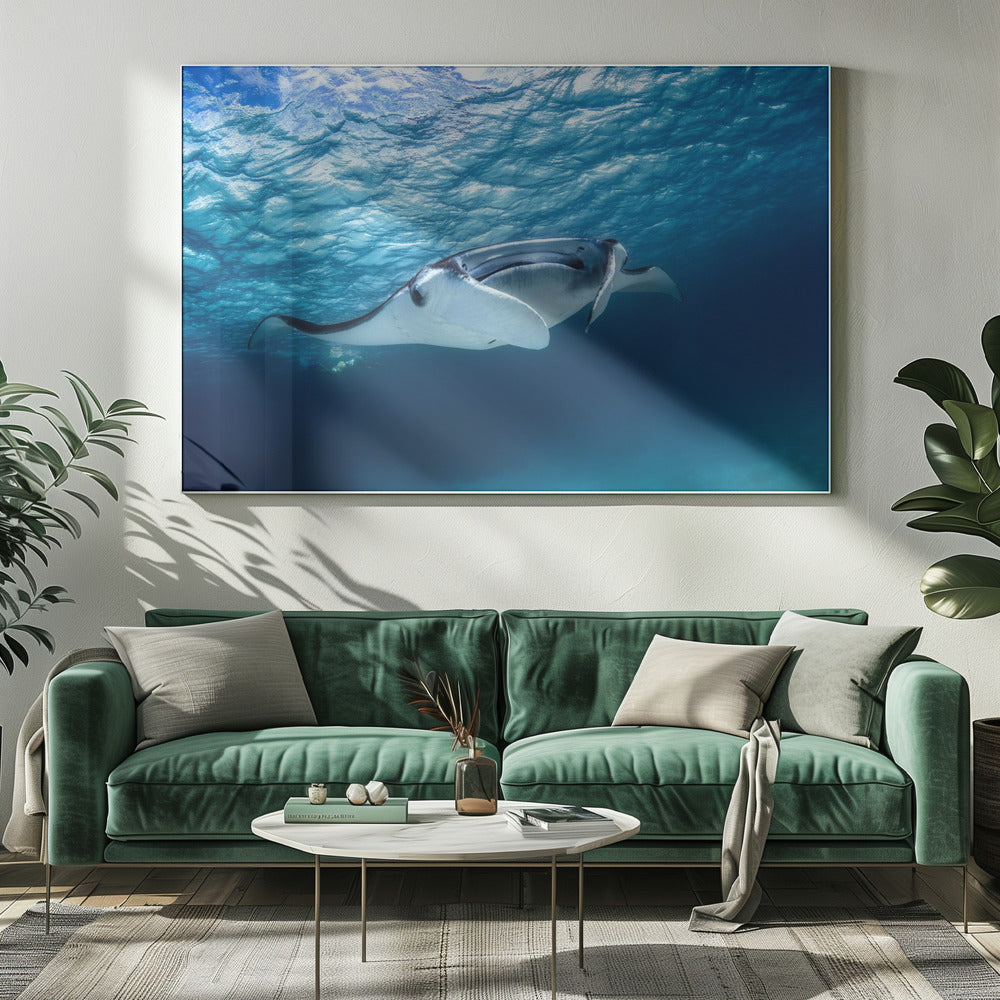 Mantarochen | Leinwand