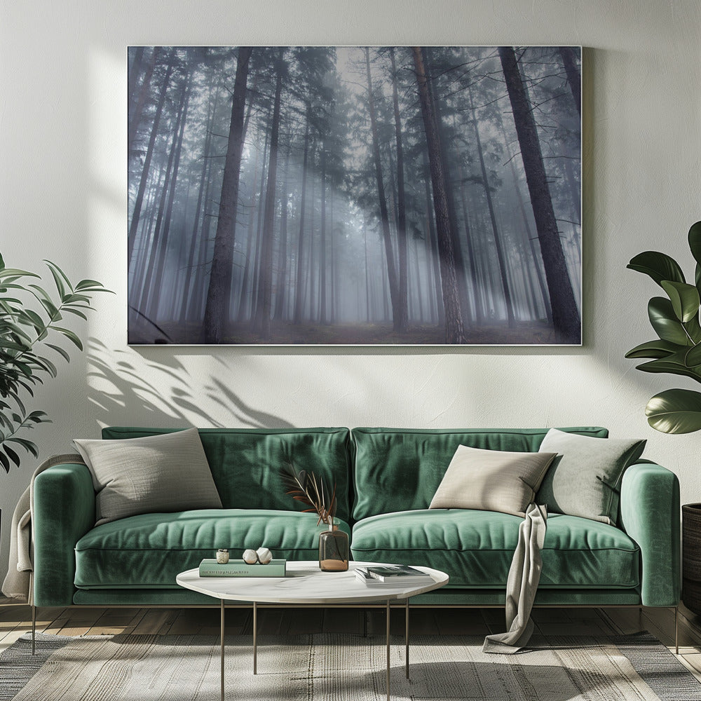 Mysterious foggy forest. | Canvas