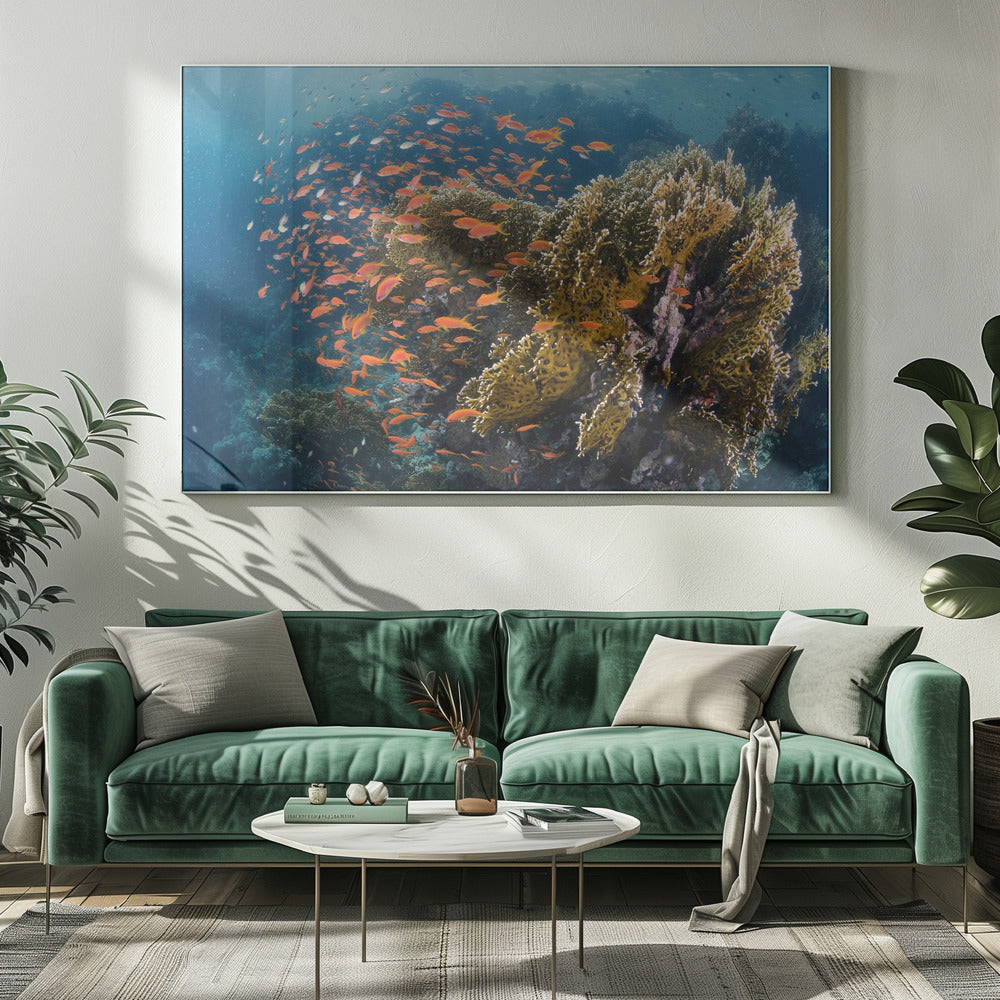 Reefscape | Canvas