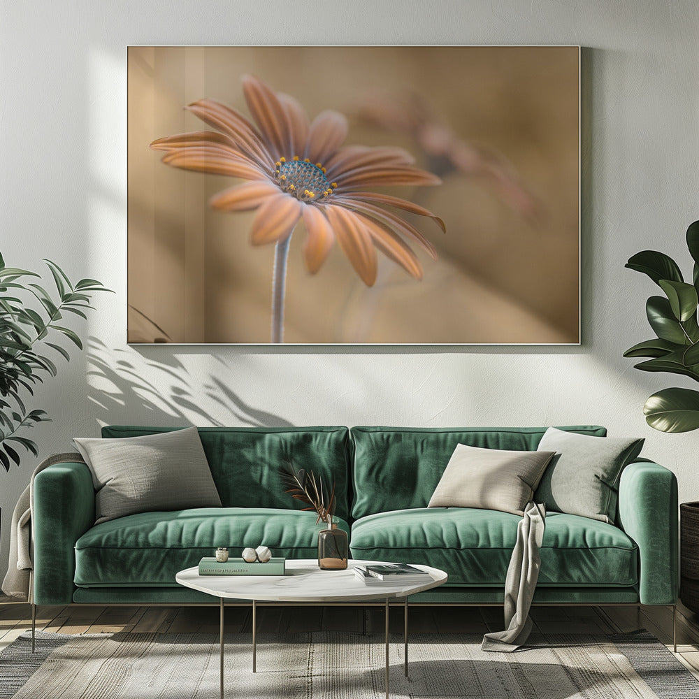 Sommerglühen | Leinwand