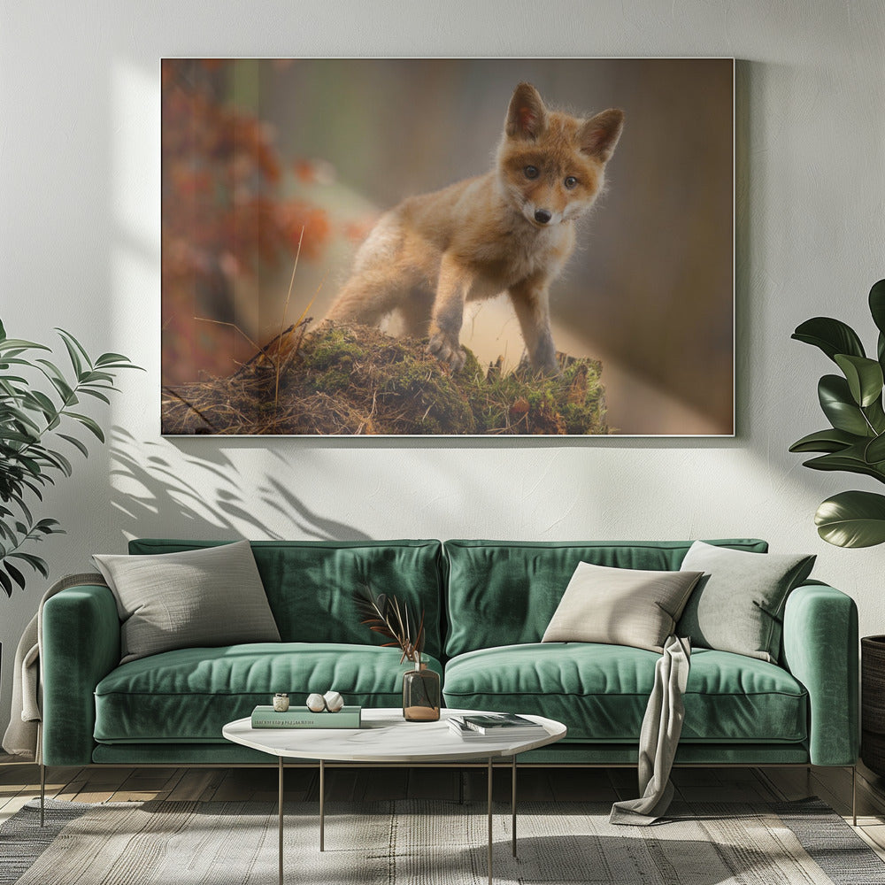 Fuchs | Leinwand