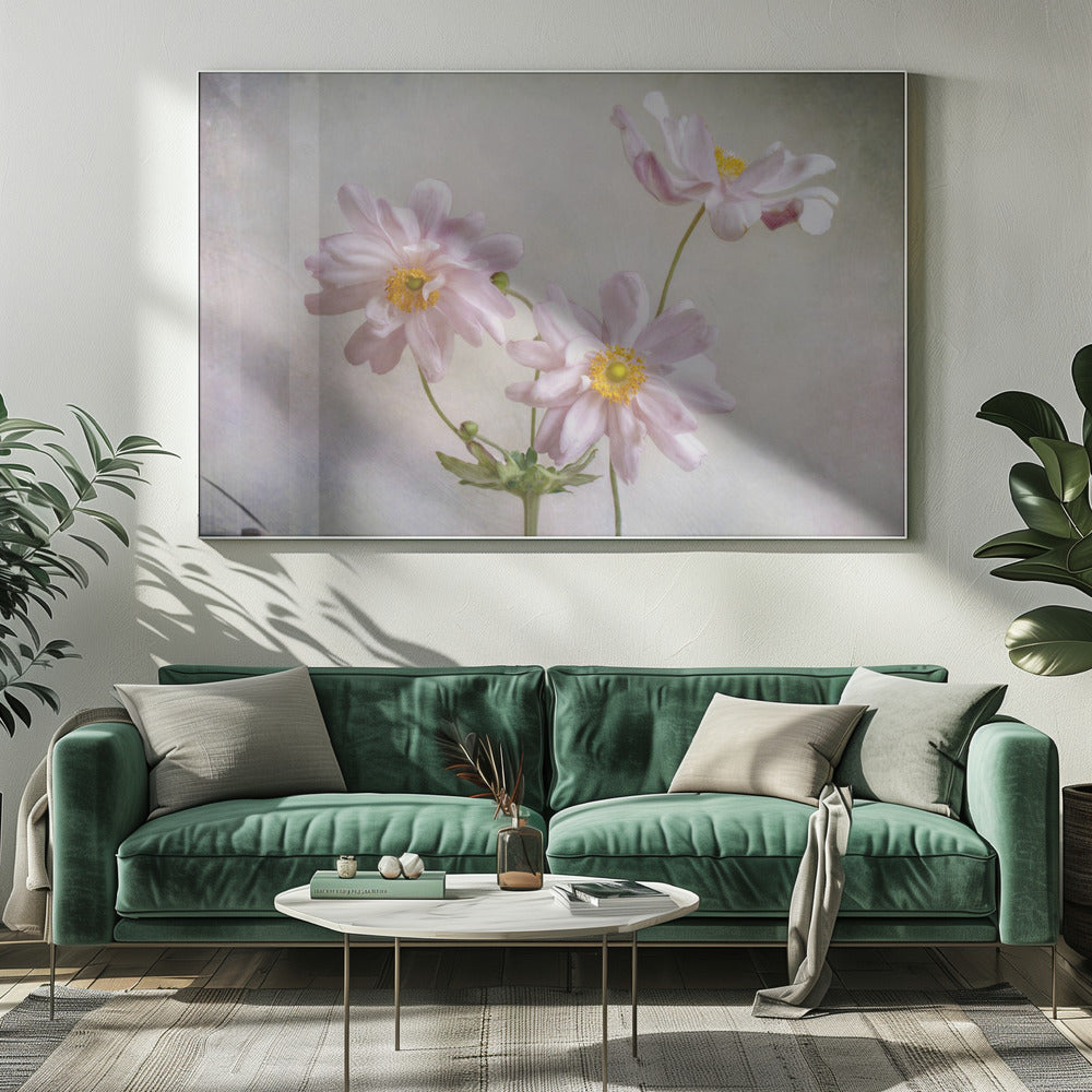 Anemonen | Leinwand