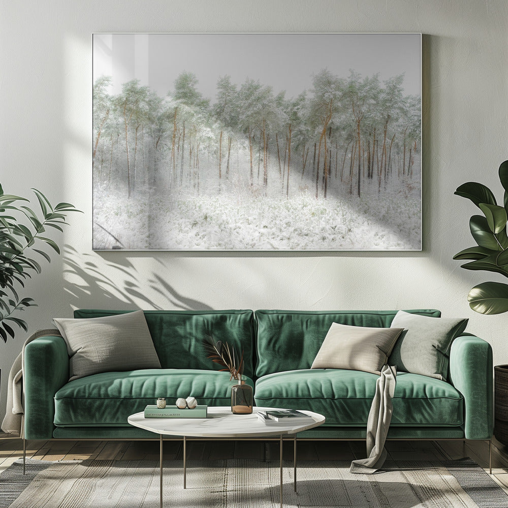 Snow world | Canvas