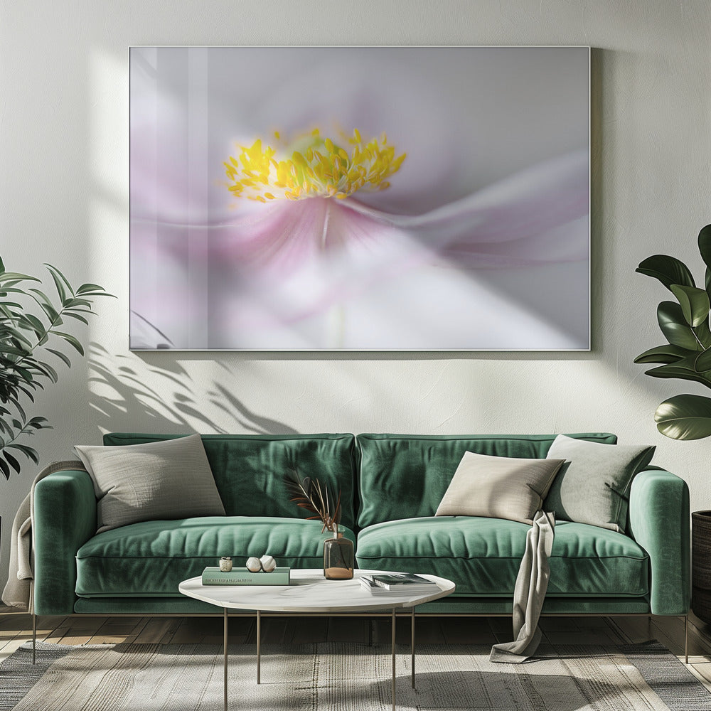 Anemone | Leinwand