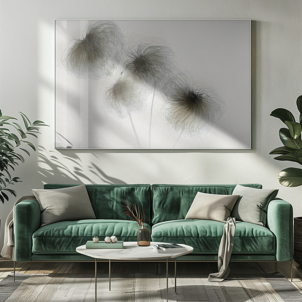 Clematis | Leinwand