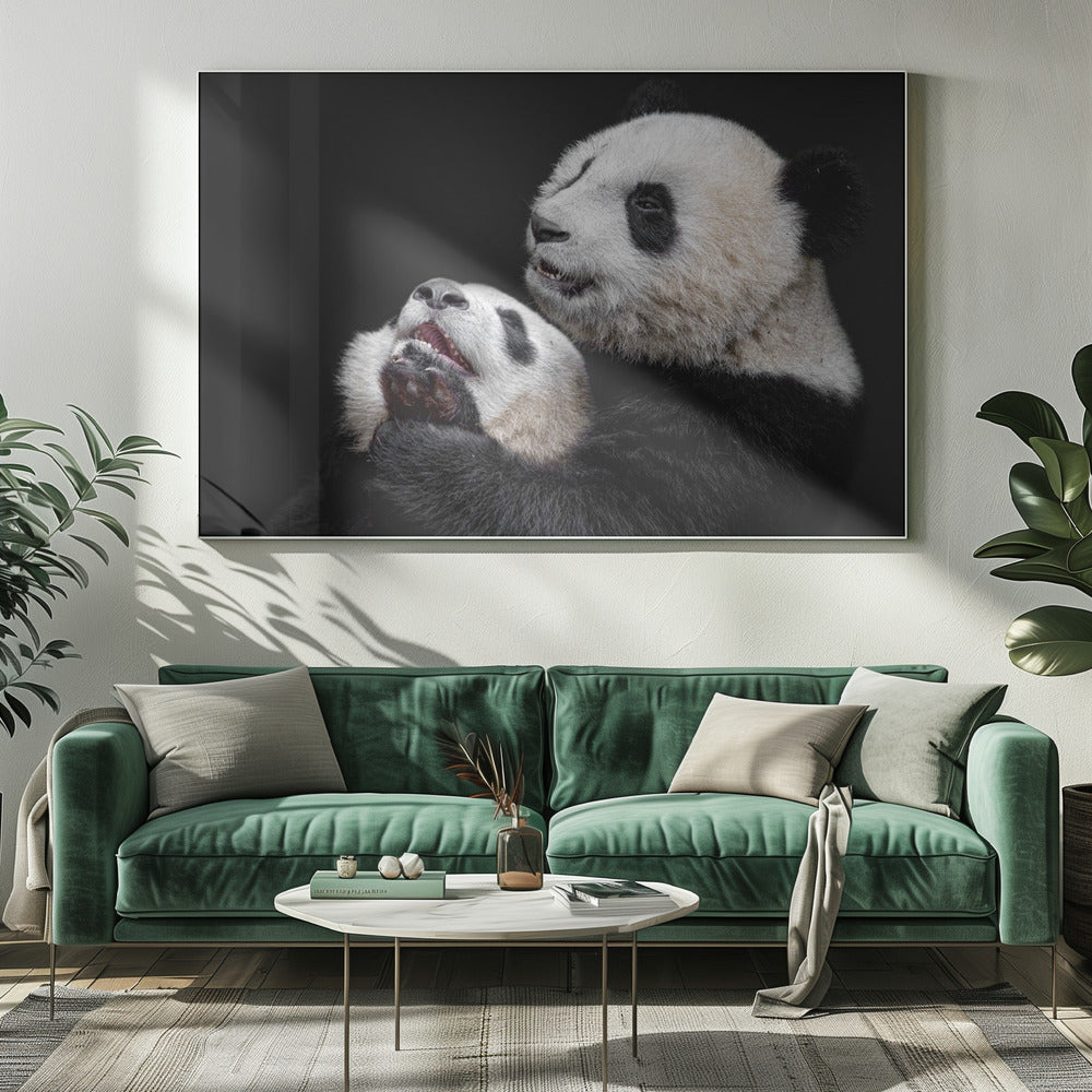Pandas | Leinwand