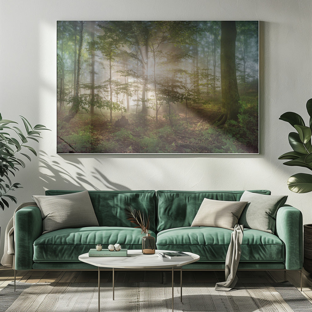 Morgensonne | Leinwand