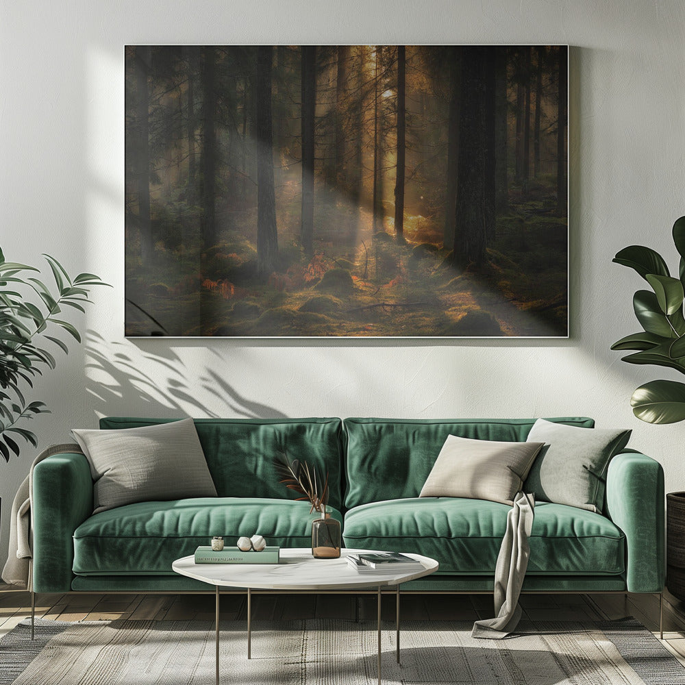 Das Licht im Wald | Leinwand