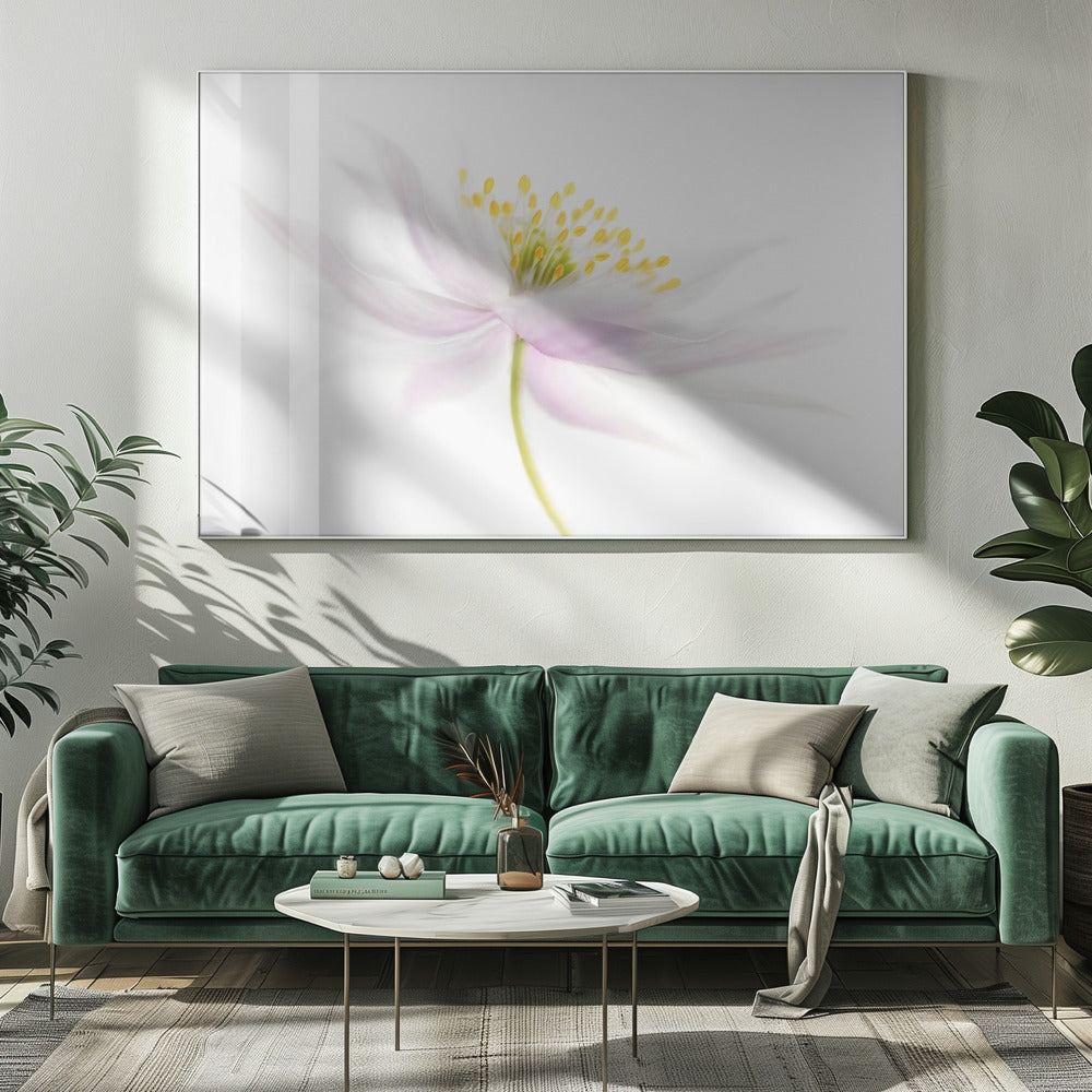 Leinwand