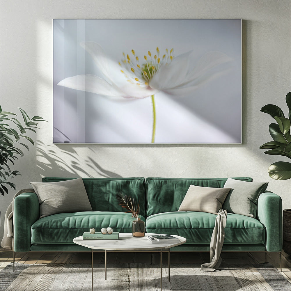 nemorosa | Leinwand