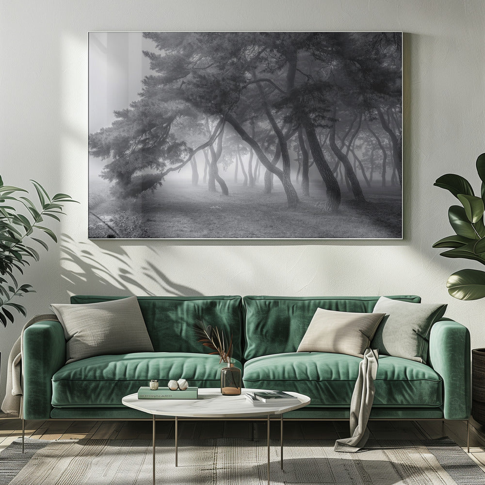 Always | Canvas