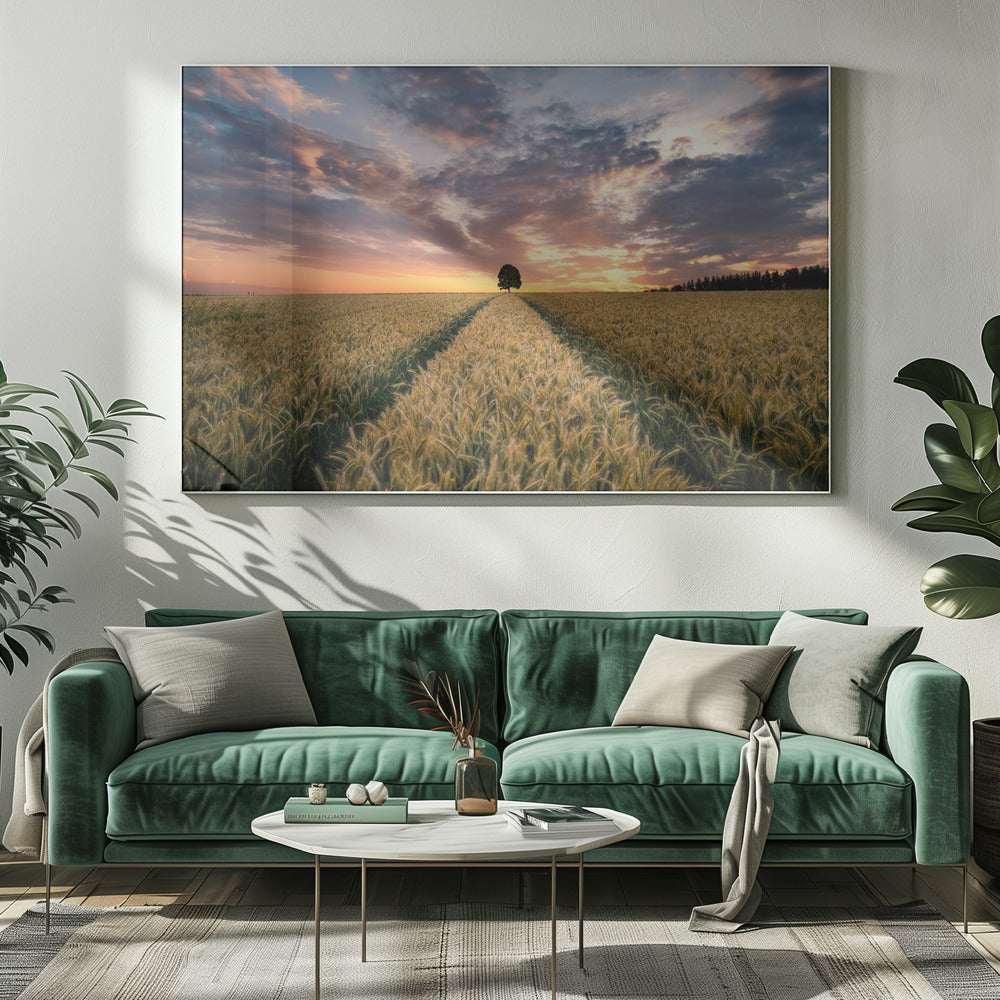 Feld der Träume | Leinwand